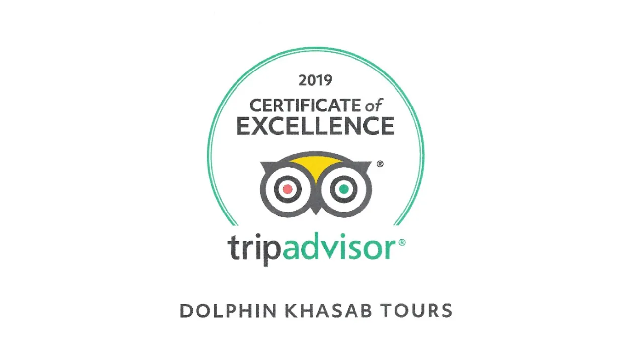 Tripadvisor Certificate of Excellence 2019 Award