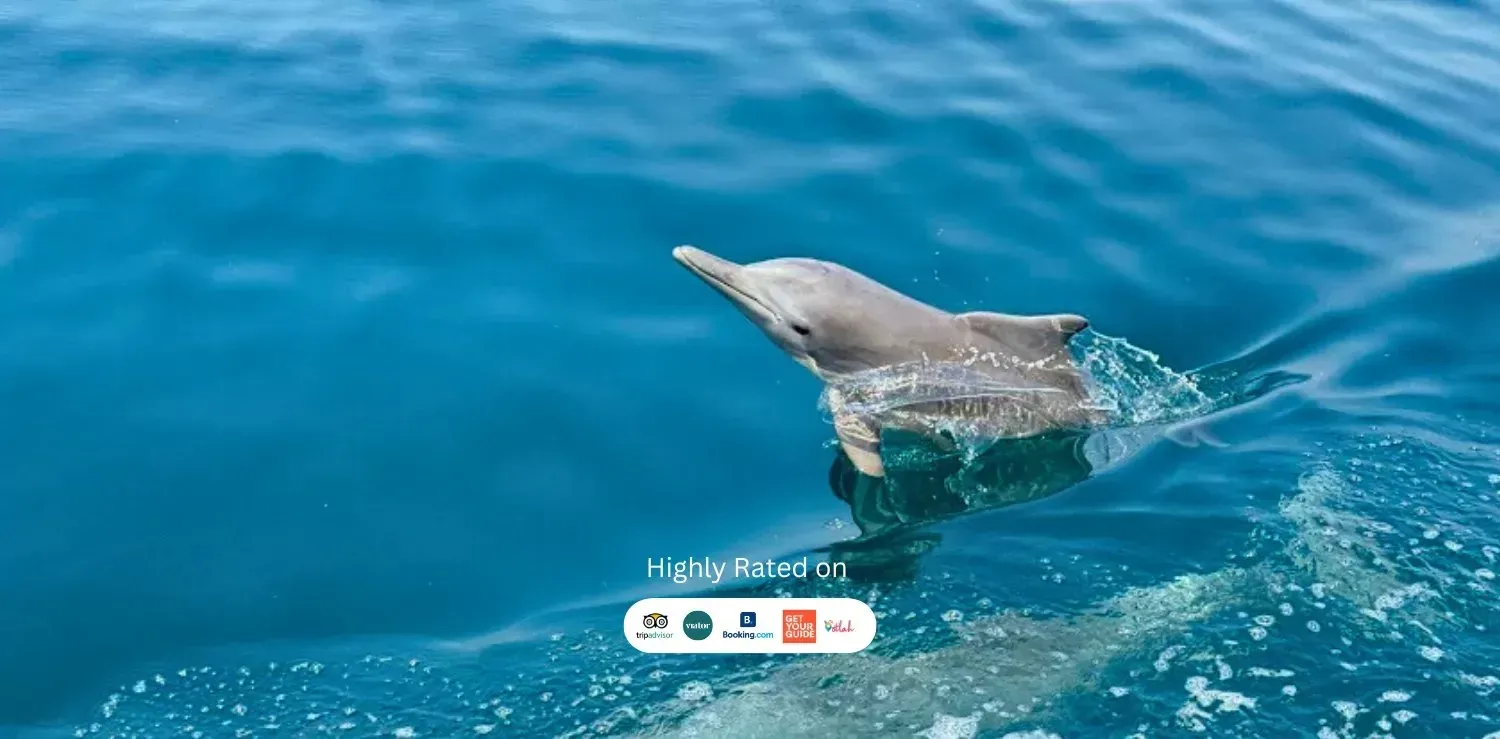 https://ur2h9smi.turpal.com/media/LRuajJbqwRSBLoZhYUdH7boIPelX0zvvIlRlKTyE.webp
