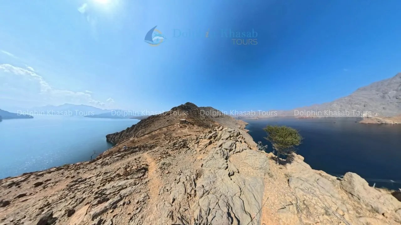 https://ur2h9smi.turpal.com/media/yF6qzqZoqOxaUidxeDwpeNPZXAA9aSqx6hzqSbSI.jpg